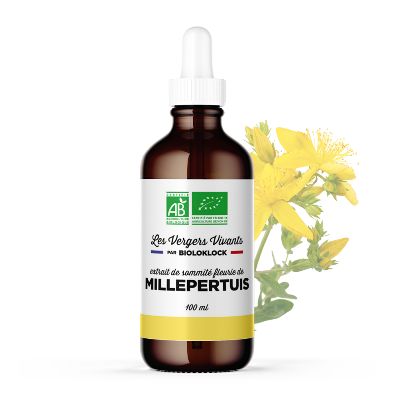 Extrait de plantes Bio de Millepertuis pour une santé au naturel